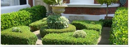 landscaping