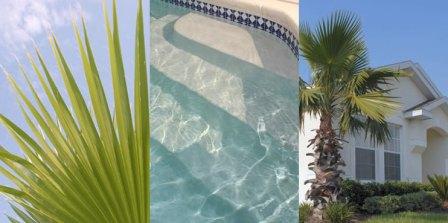 pools