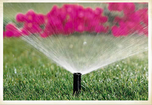 IRRIGATION SERVICES